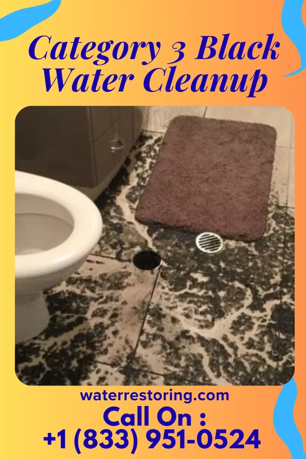 Category 3 Black Water Cleanup in Lincolnton, NC